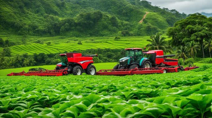 Asset-based Loans For Seasonal Operations In Costa Rica